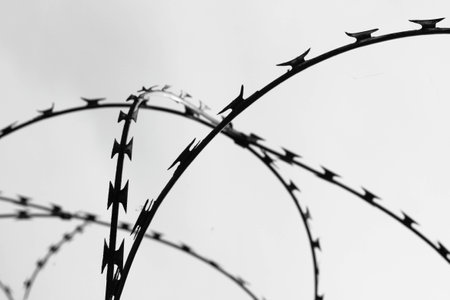 Barbed wire fence of a prisonの写真素材