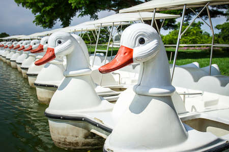 The white duck-shaped pedal boats are parked in line.Bangkok Thailandの写真素材