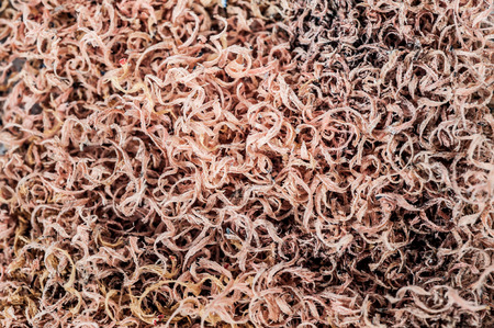 Abstract Dirty Backgroundの写真素材