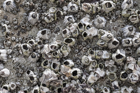 Old Dirty Wall background