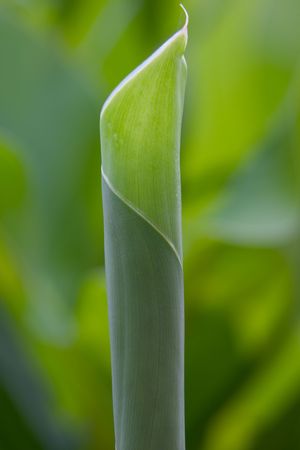 New beginningsの写真素材