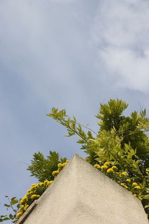 Looking up at the overheadの写真素材
