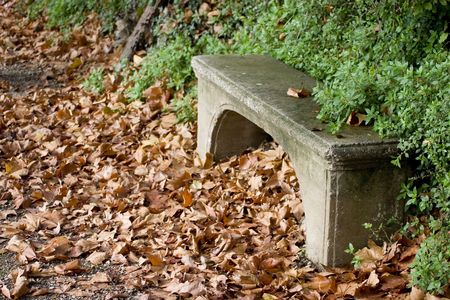 A fall day and place to sit.の写真素材