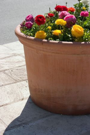 Large clay planter filled with peonies sits on a street cornerの写真素材