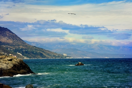 flying bird, seaside in Crimea, Ukraineの写真素材