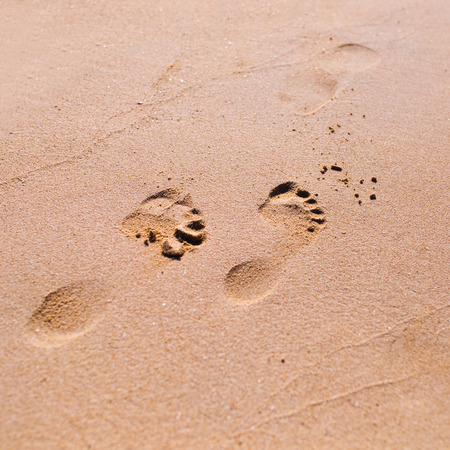Footprint on sand beach, seaside