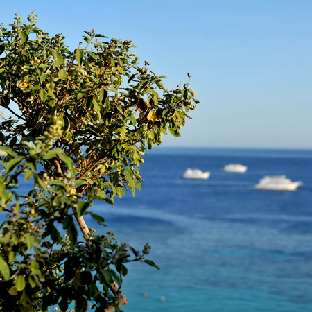 beautiful seaside with shipsの写真素材