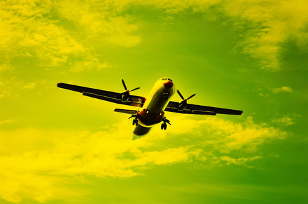 Airplane in the sky