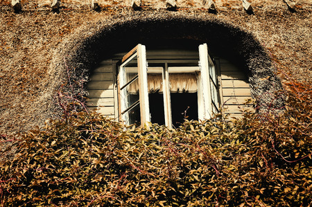 Opened windows in the roofの写真素材