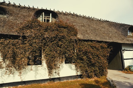 Cute and simple european house in the countryside. Hotel in Dragor, Copenhagen, Denmark.の写真素材