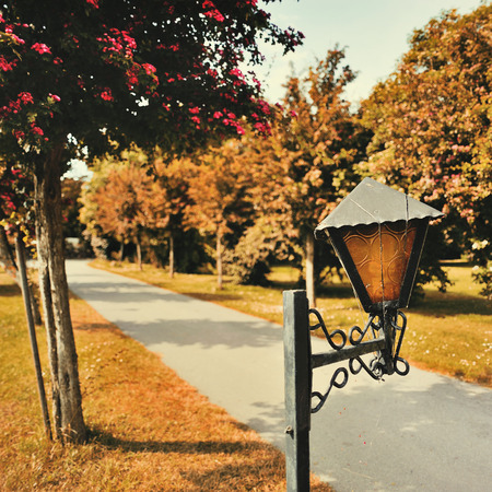 Road. Park. Night lightsの写真素材