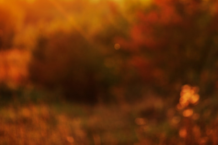 Blurred background. De focused Lightの写真素材