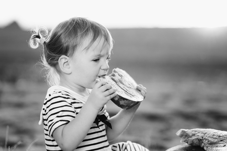Cute girl kid sitting wih big watermelon at countryside, having fun.の写真素材