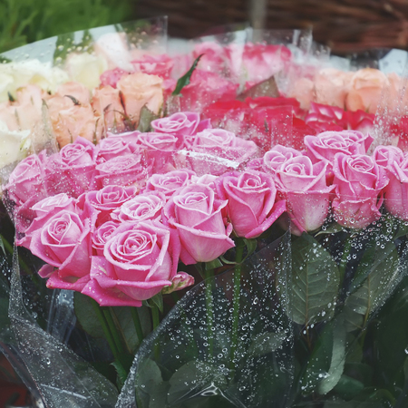 Pink roses for selling at streetの写真素材