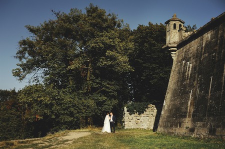 Wedding Couple next to old castle, newlyweds in love togetherのeditorial素材