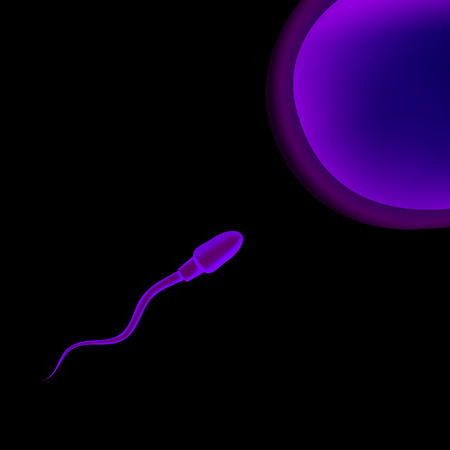 Spermatozoon sperm and ovum egg . In vitro fertilization IVF . Artificial insemination. Spermogram. Male infertility. Illustration for web or typography magazine, brochure, flyer, poster.のイラスト素材