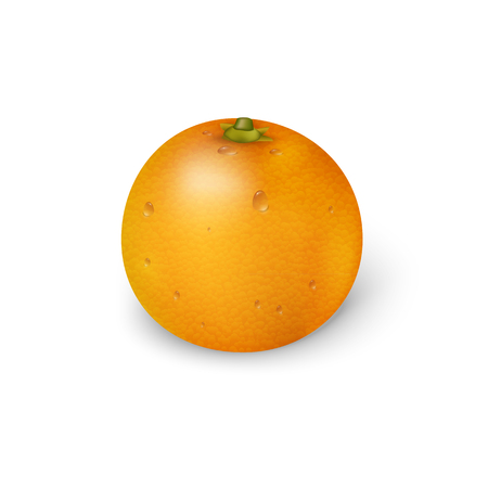 Orange fruit 3d realistic. Vector illustration. White background.のイラスト素材