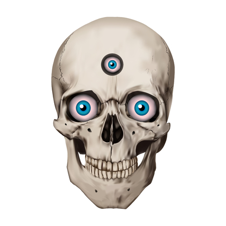 Human realistic skull. Blue eyes, third eye. White background. Anatomy vector illustration.のイラスト素材