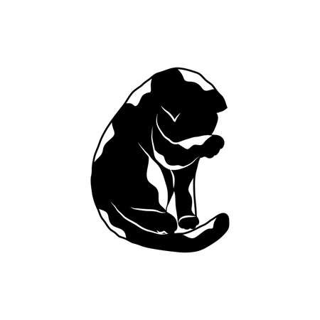 Cosy hand drawn cat with decorations. Spots. Vector illustration. Editable lines. Black and white.のイラスト素材