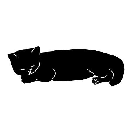 Cosy hand drawn cat. Sleeping. Lying. Vector illustration. Editable lines. Black and white.のイラスト素材