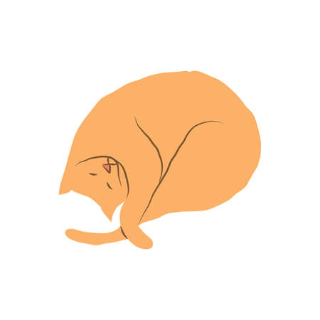 Cosy hand drawn cat. Sleeping. Vector illustration. Editable lines. Colored.のイラスト素材