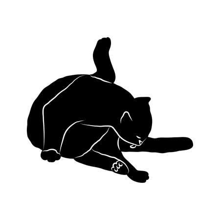 Cosy hand drawn cat. Washing. Vector illustration. Editable lines. Black and white.のイラスト素材