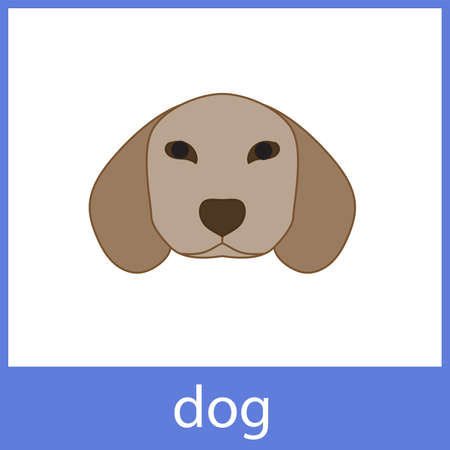 Dog. Pets, domestic animals. English vocabulary word card.のイラスト素材