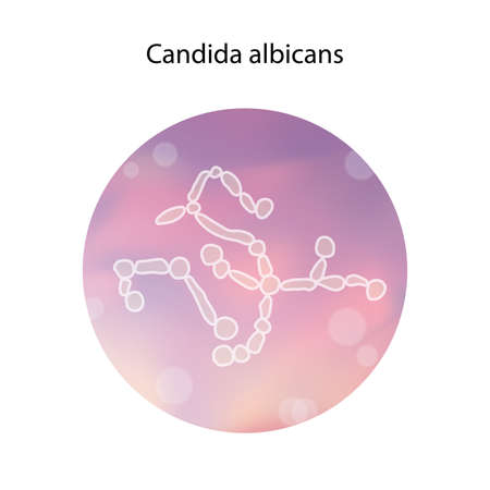 Candida albicans. Thrush infection. Medical isolated. vector illustration.