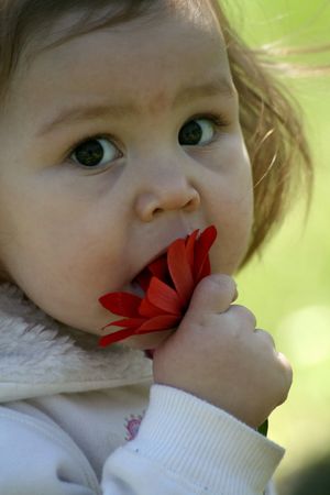  and red flower