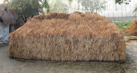 Hay stacks from Sunderbans India