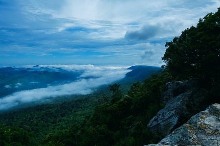 View of mountain and mist with trees and stone, View point of Pa Hin Ngam National Park. Chaiyaphum...