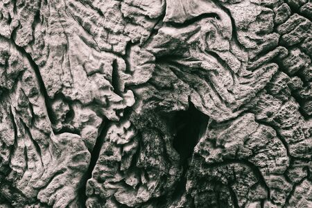 Detail of old wood for background and texture