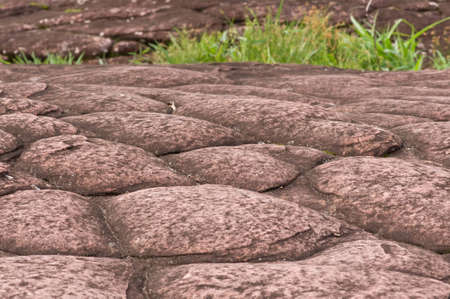 Beautiful stone on Phu Hin Rong Kao, Phitsanulok in Thailand. の写真素材