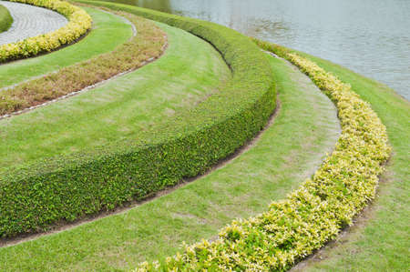 Garden in Thailand.