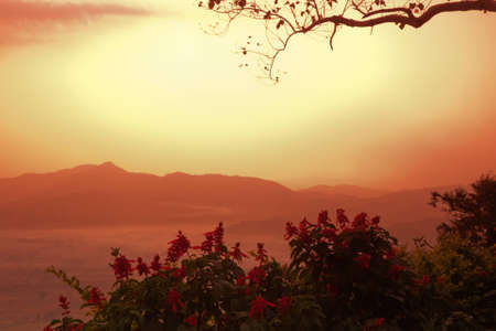 Sunrise at mountain. in the Phu Langka  National Park , Phayao province, Thailand.の写真素材