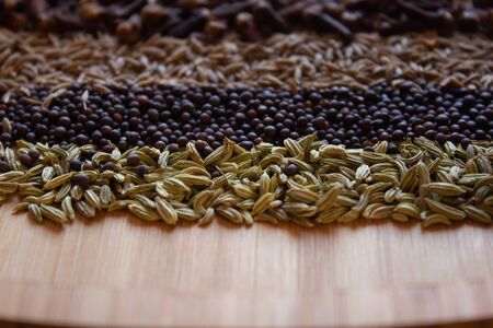 Spices and seeds commonly used in indian cuisine