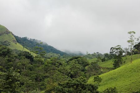 Beautiful landscape of the mountains along the western ghats in Thekkady, Kerala, India