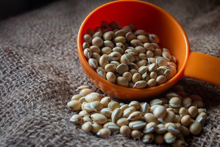 View of lima beans (also known as avara kottai in tamil language).の写真素材
