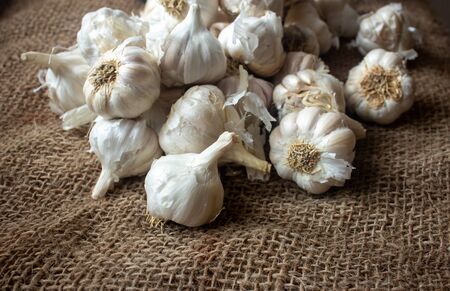 View of whole garlic bulbs. Garlic helps build immunity against cold and flu.の写真素材
