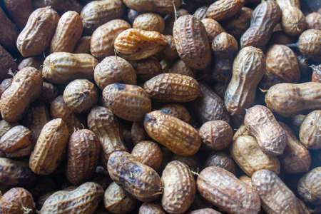 Steamed peanuts with shells and ready to eat. Protein rich food and a healthy snackの写真素材