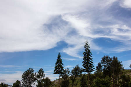 Scenic view of the landscape along the Shevaroy Hills in Yercaud, Indiaの写真素材