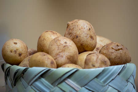 View of small round potatoes in a basket. Market stall selling small potatoes.の写真素材