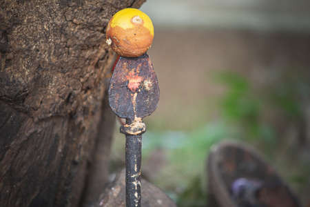 View of vel(weapon of hindu god muruga) which is sacred and worshipped by people following hinduism.