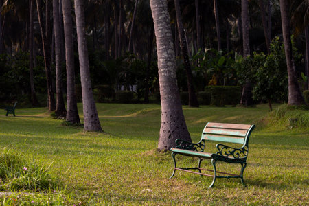 A steel bench in a green grass field. Empty chair in a park. Focus set of chair grillの写真素材