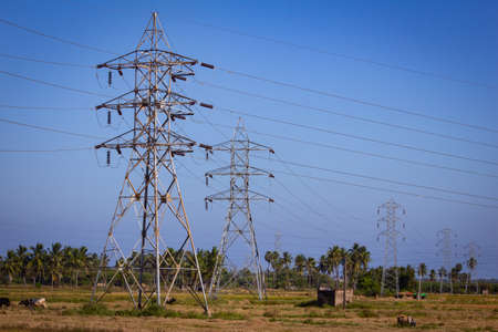 View of electricity pylon along the paddy fields, tamil nadu, India
