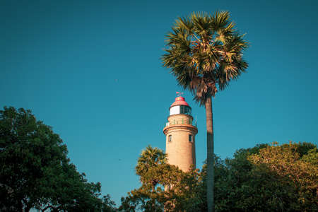 View of lighthouse with palmyra palm tree in foreground, Mahabalipuram, Tamil Nadu, India. Mahabalipuram is a town near Chennai famous for rock monumentの写真素材