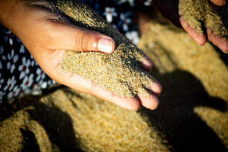 kid playing with the sand in a beachの写真素材