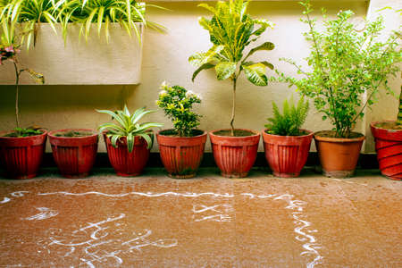 View of the pots with plants in a garden