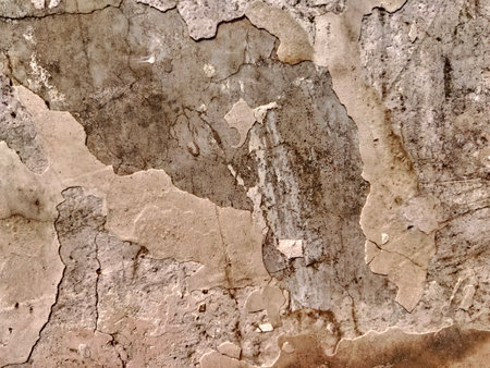 Close up of Damaged wall plasterの写真素材