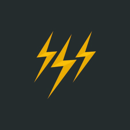 Flash logo vector generic logo type isolated emblem